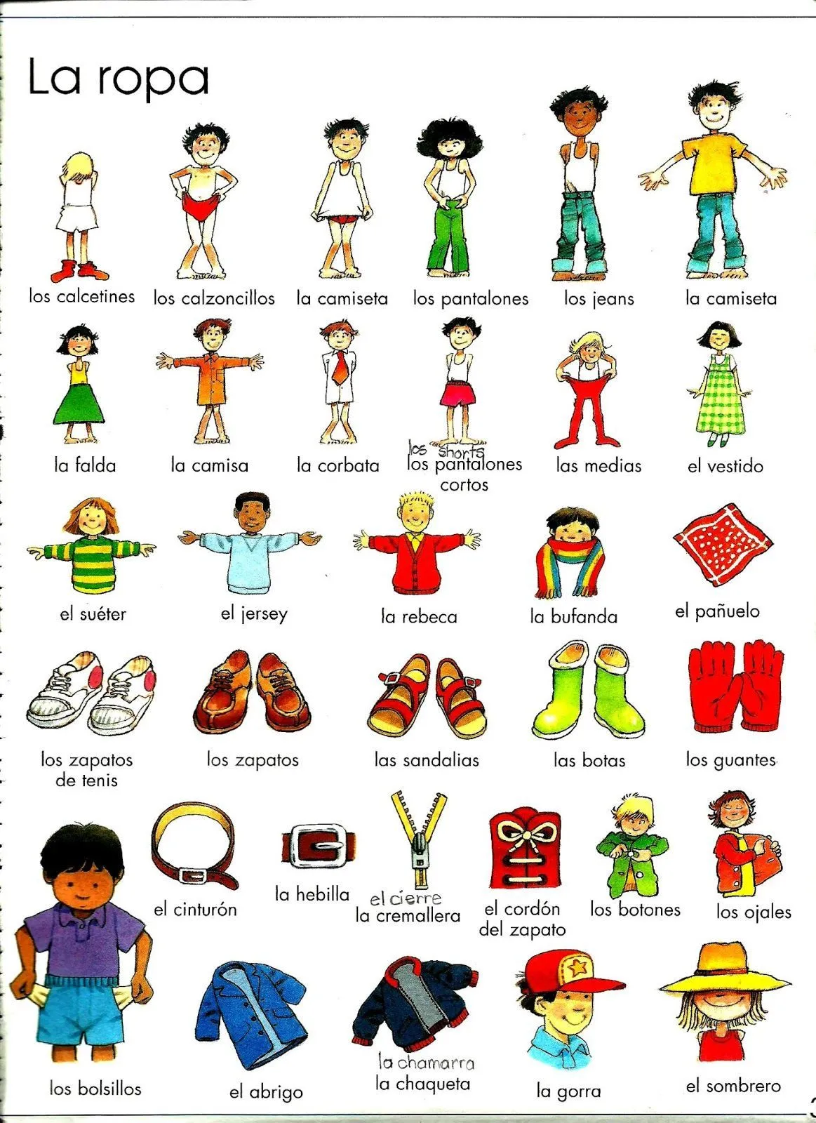 Vocabulario de la ropa | Spanish for adults | Pinterest | Idioma ...