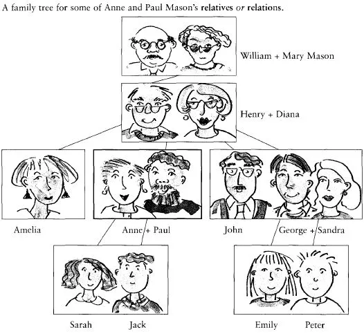 Vocabulary The family tree - Vocabulario el arbol familiar