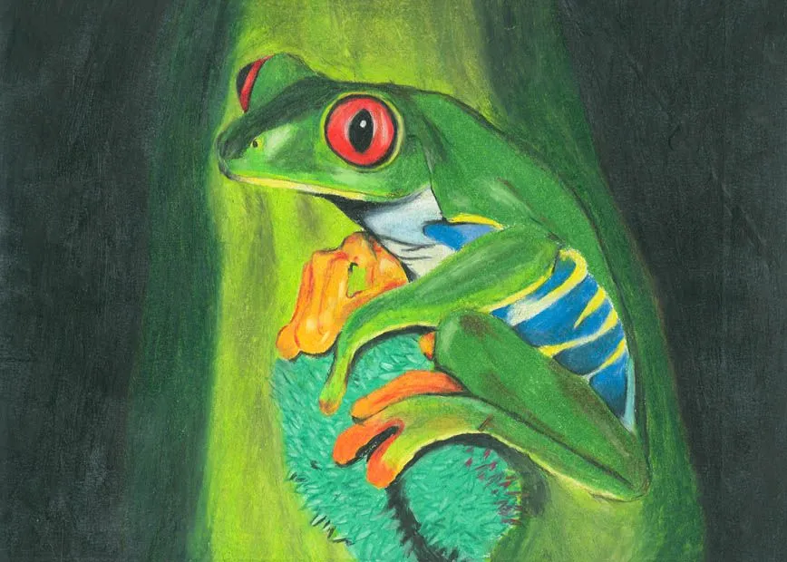 la voz sin boca / isak: una rana(dibujo a lapiz de color)