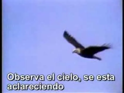 Vuela Aguila - YouTube