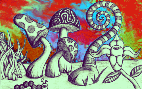 w33daddict #LSD #Delysid #Lysergsäurediethylamid #MushroOms ...