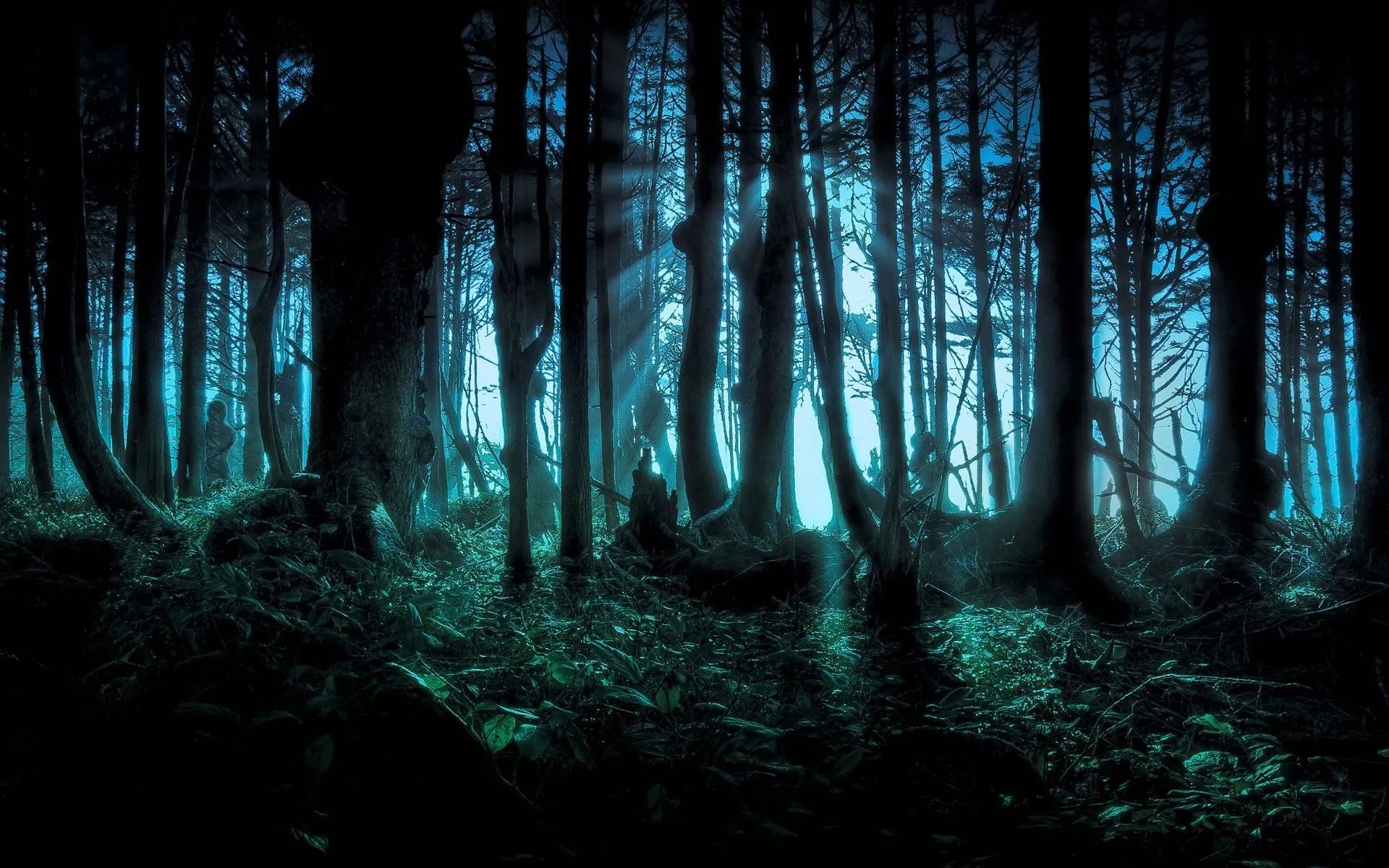 Wallpaper Bosque Encantado - Wallpapers - Wallpapers Wallpaper Bosque Encantado - Wallpapers - Wallpapers