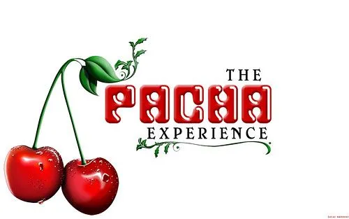Wallpaper - The Pacha Experience | Flickr - Photo Sharing!