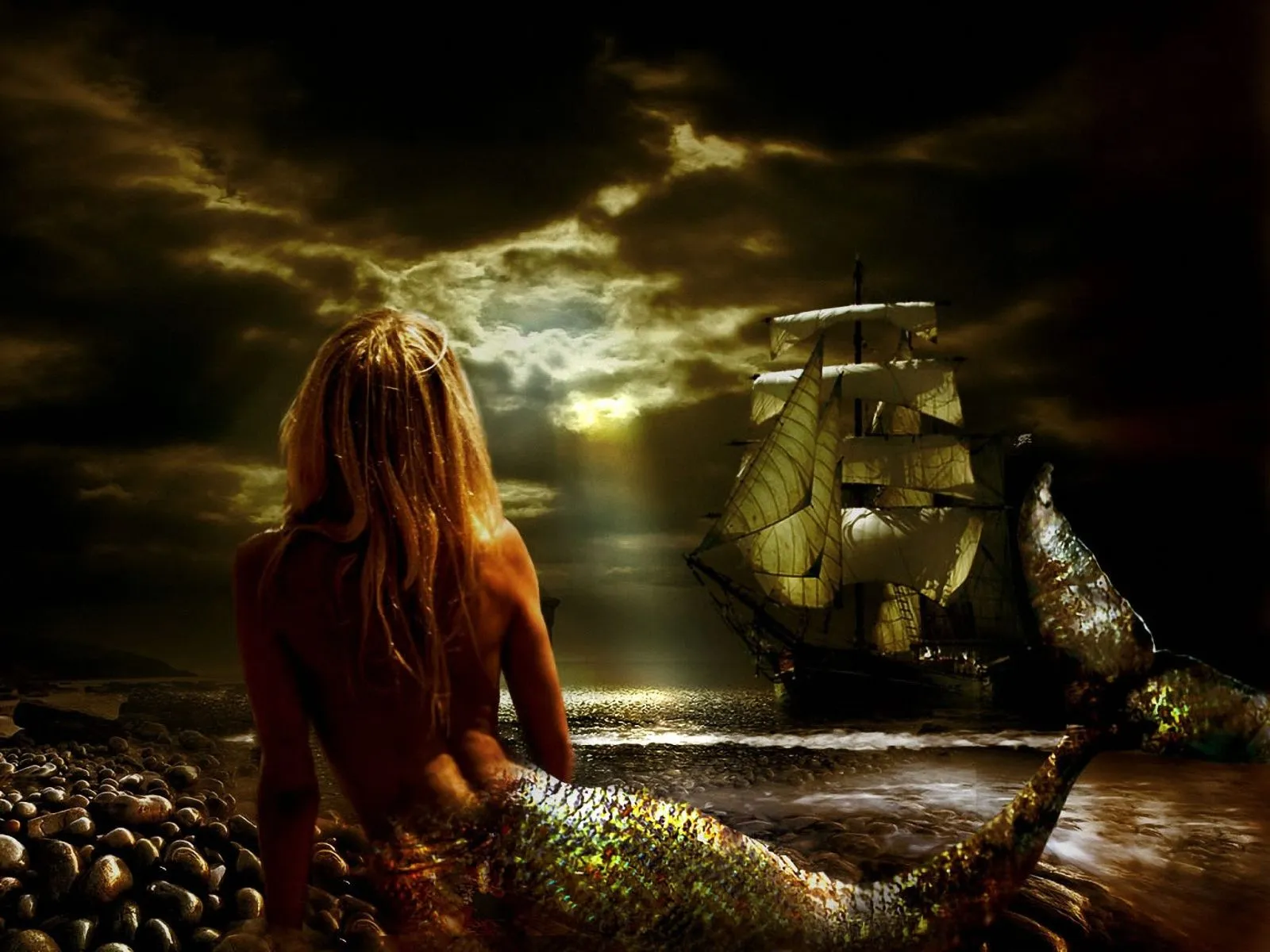 wallpapernarium: fondos de pantalla de sirenas wallpapernarium: fondos de pantalla de sirenas