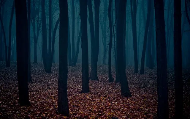 Wallpapers (Fondo de Pantalla) HD - Alta calidad (1366x768 o ... Wallpapers (Fondo de Pantalla) HD - Alta calidad (1366x768 o ...