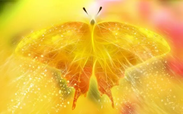 Wallpapers HD: 100 Butterfly Backgrounds Full HD - Wallpapers ...