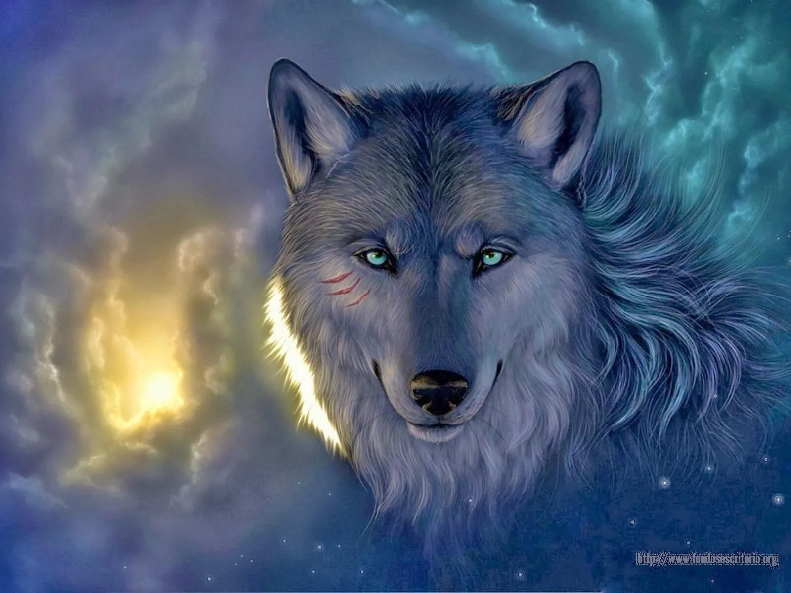 Wallpapers HD: Lobos hd - varias resoluciones ( Wallpapers HD: Lobos hd - varias resoluciones (