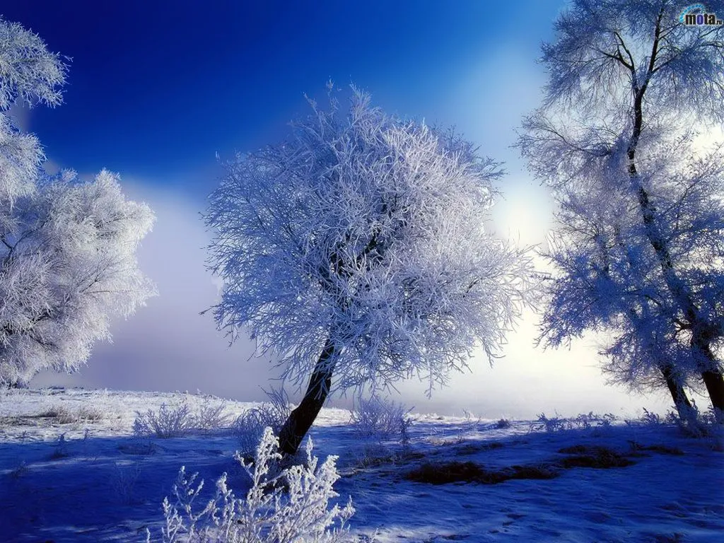 Wallpapers de paisajes con nieve - Taringa! Wallpapers de paisajes con nieve - Taringa!
