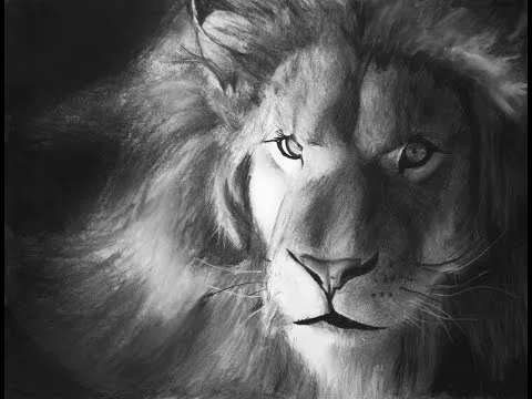 Watch Como dibujar un leon paso a paso 3 how to draw a Online