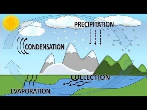 Water Cycle For Children with Song, Ciclo del Agua en Inglés para ...