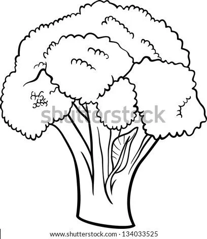 White Broccoli Stock Photos, Images, & Pictures | Shutterstock