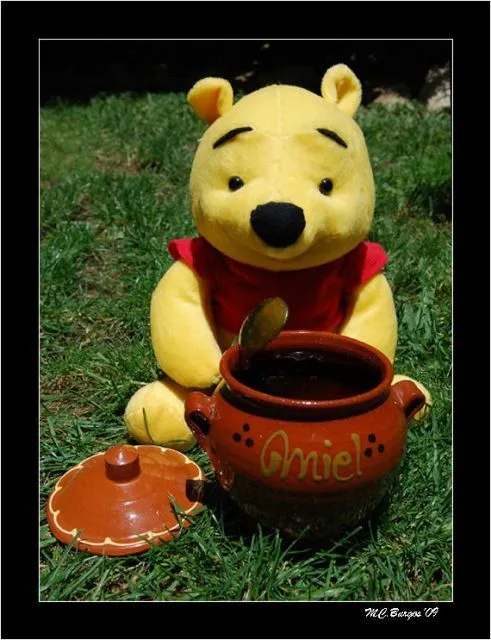 Winnie de Pooh con la Miel | fotos de Creación y fotomontajes