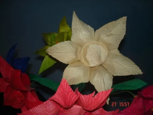Wix.com flor de maiz created by niztayana_1994 based on Lets ...