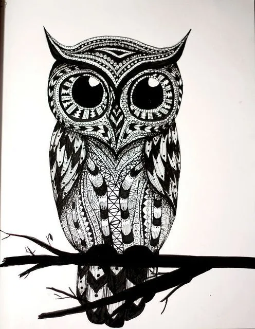 Cute Owl Tattoos on Pinterest | Owl Tattoos, Small Owl Tattoos and ...