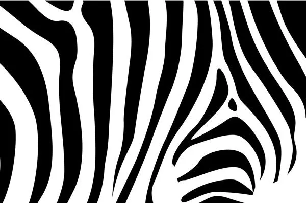 Zebra background Free vector in Encapsulated PostScript eps ( .eps ...