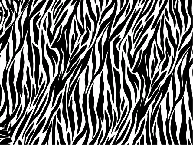 Zebra Print Designs - Stuffed Animals, Coffee Mugs and More ...