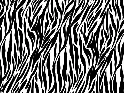 Zebra Print - Fondos de pantalla gratis para Blackberry RIM Onyx