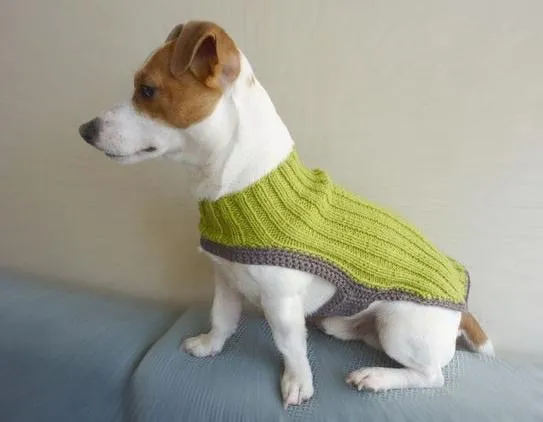 ZONA DE MANUALIDADES: Como hacer ropa para perros a crochet/tricot
