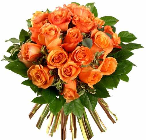 ZOOM FRASES: flores para compartir,regalos a amigos,facebook