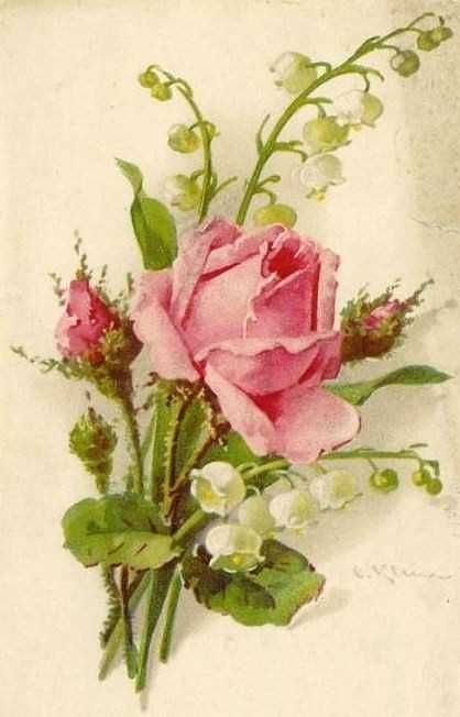 ZOOM FRASES: imagenes de flores vintage