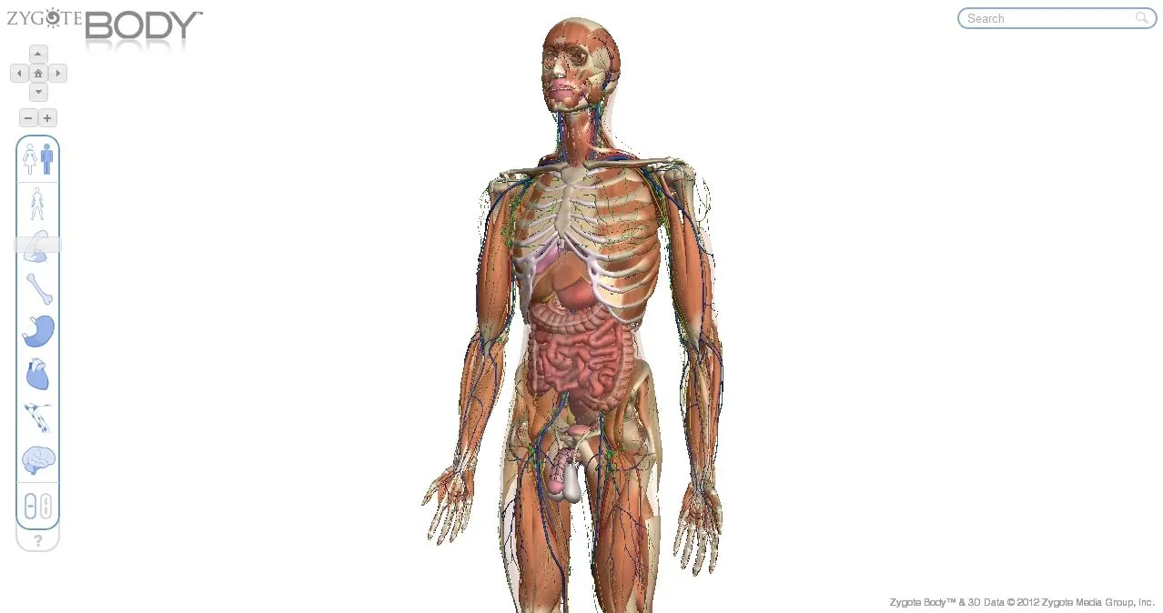 Zygote Body: El cuerpo humano en 3D | Tecnología +