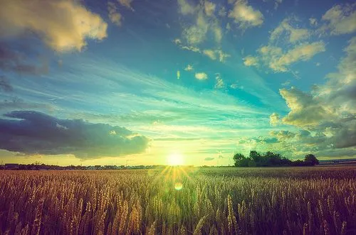 u n a e s t e l a l u m i n o s a: Nube de noviembre con ... u n a e s t e l a l u m i n o s a: Nube de noviembre con ...