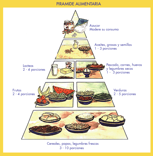 Cadena alimenticia de los alimentos - Imagui Cadena alimenticia de los alimentos - Imagui