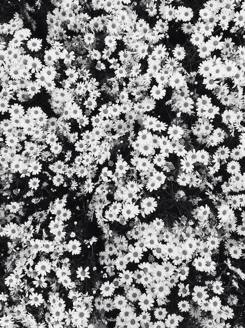 ❌⭕ ❌⭕ ❌ on Twitter: "Fondo blanco y negro floreado http ... ❌⭕ ❌⭕ ❌ on Twitter: "Fondo blanco y negro floreado http ...