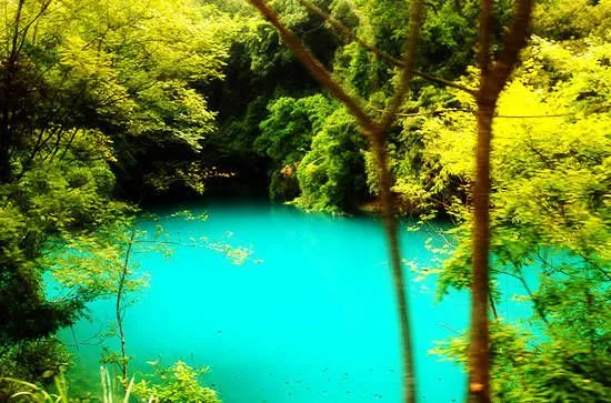 探访贵州荔波：迷醉在中国最美的森林_阳光旅程_济南旅行社，济南国际 ...