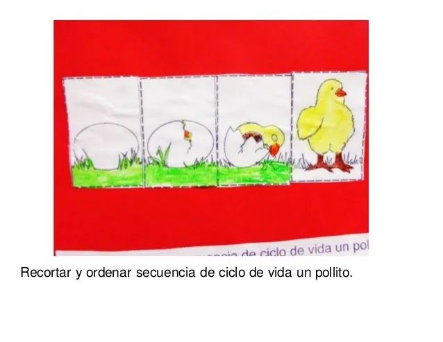 Habia una vez