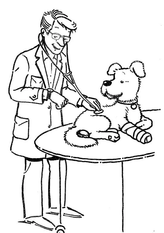 Pinto Dibujos: Veterinario para colorear