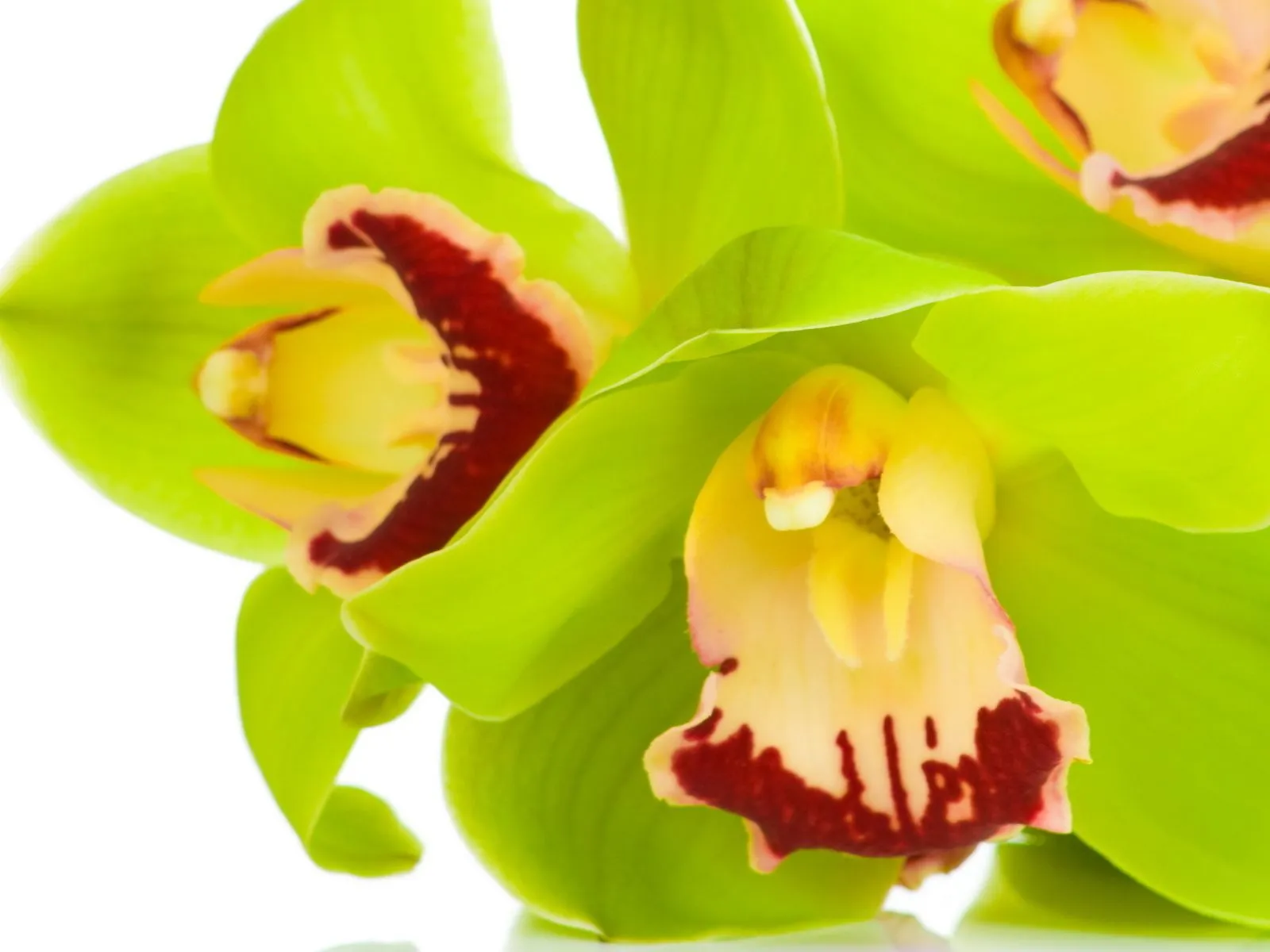 01/13/13 Mejores fotos del mundo para facebook