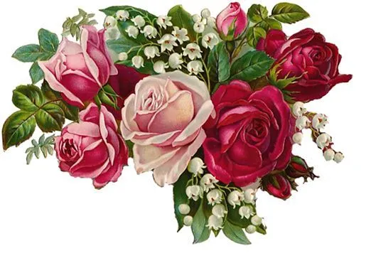 ROSAS PNG on Pinterest | Rose, Blue Roses and Printables ROSAS PNG on Pinterest | Rose, Blue Roses and Printables