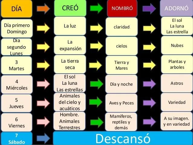03-se-completa-la-creacion-8- ...