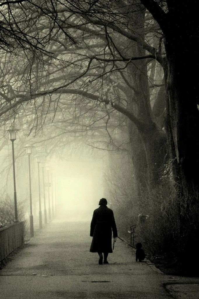 039 – Pensamiento Emoción y Ego– Caminando al despertar | Shurya.com