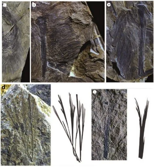 05/2015 | Dinosaurios (El Cuaderno de Godzillin)