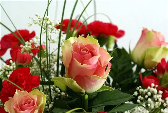 05=LINDAS FLORES ♥♥♥