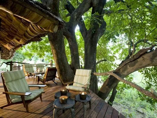 06-Lake-Manyara-Tree-Lodge.jpg
