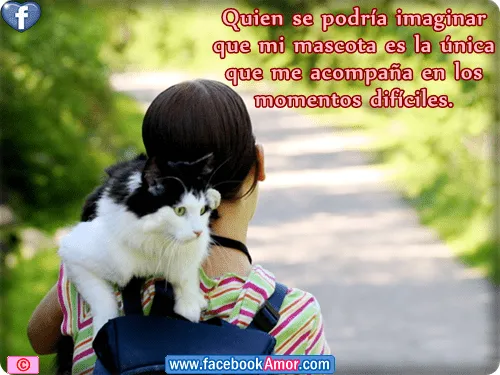 07/04/13 Imagenes Bonitas para Facebook Amor y Amistad 07/04/13 Imagenes Bonitas para Facebook Amor y Amistad