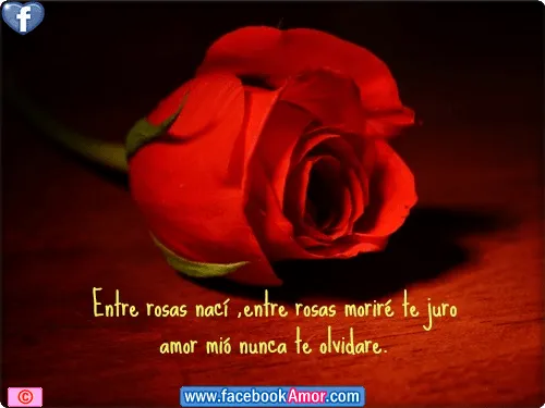 07/28/13 Imagenes Bonitas para Facebook Amor y Amistad