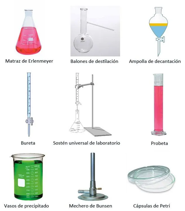 BIOLOGIA PRIMER AÑO: EL MICROSCOPIO Y ELEMENTOS DE LABORATORIO ...