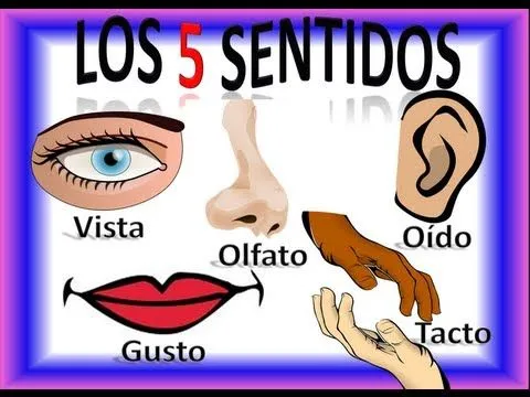 Los Cinco 5 Sentidos Para Niños, Five Senses in Spanish for ... Los Cinco 5 Sentidos Para Niños, Five Senses in Spanish for ...