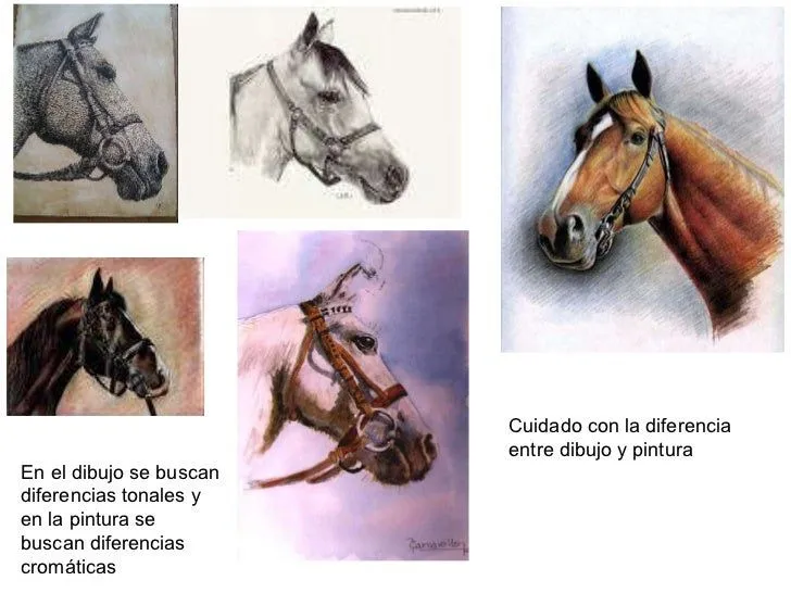 1-dibujo-29-728.jpg?cb=1311283277