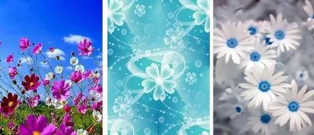 1-Fondos-de-flores-de-240-x- ...