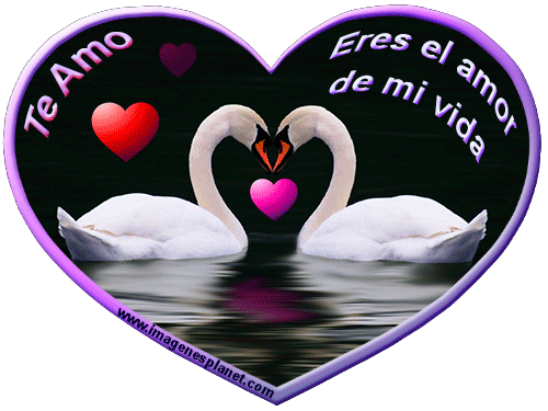1-imagenes-romanticas-de-amor, ...
