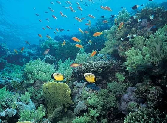 MEDIO AMBIENTE | NATURE N ENVIRONMENT!!