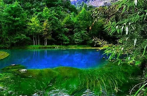 Bosques hermosos - Imagui