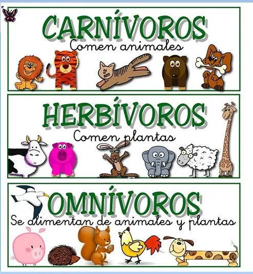 Ejemplos de animales carnivoros herbivoros y omnivoros - Imagui