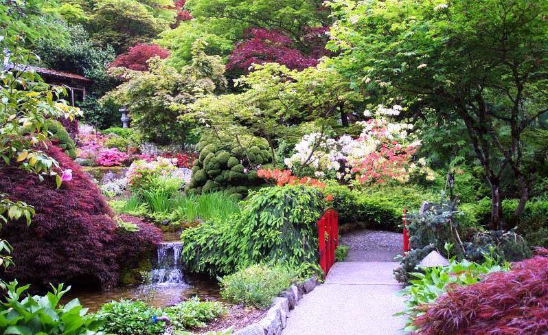 Paisajes de jardines japoneses - Imagui