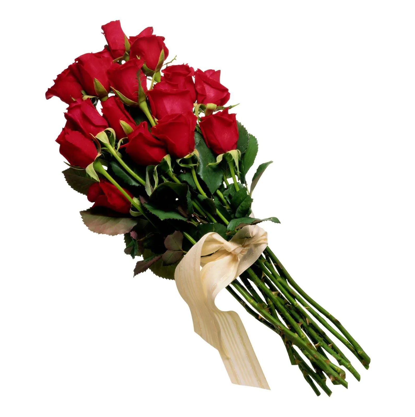 Banco de Imágenes Gratis: 10 fotos de ramos de flores para admirar ...